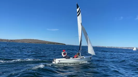 Brown sailing races on a sunny day