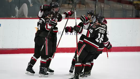 Celebration of men's hockey players
