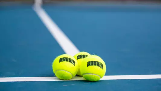 Photo of Brown tennis balls
