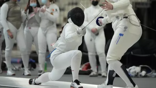 FENCING
