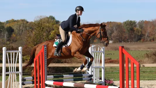equestrian show