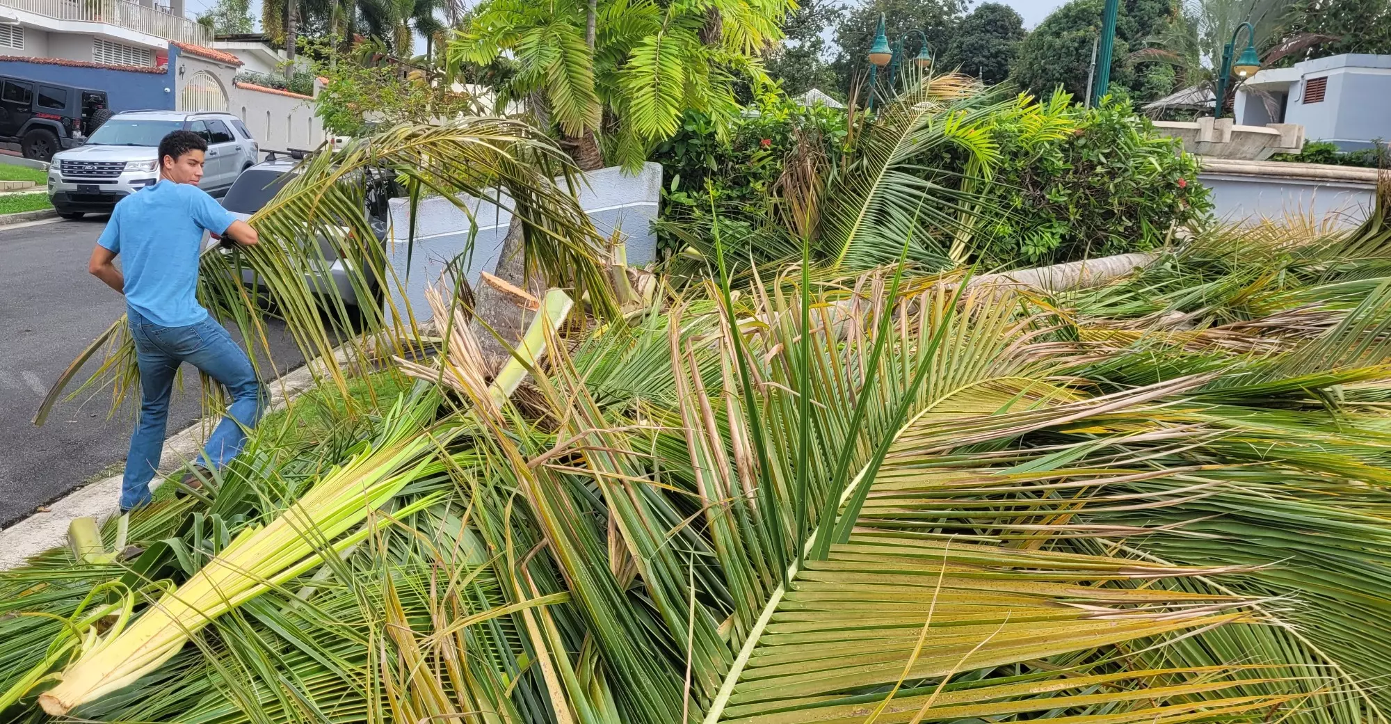 Restoration work being done on the park