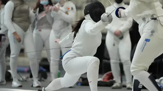 fencing