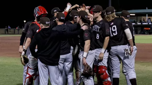 Baseball Team Huddle