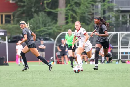 raphino, seelenfreund