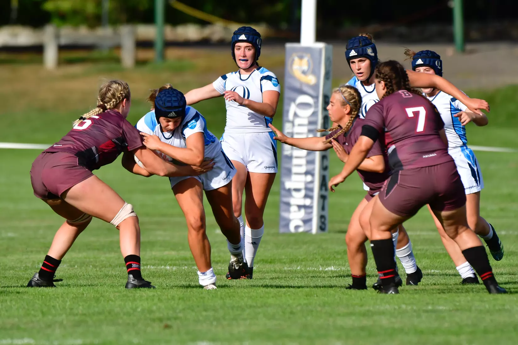 9/3/2022 © Mike Orazzi
Brown University Ruby vs Quinnipiac in Hamden, Conn. on Saturday, September 3, 2022. Mike Orazzi for Clarus Studios.