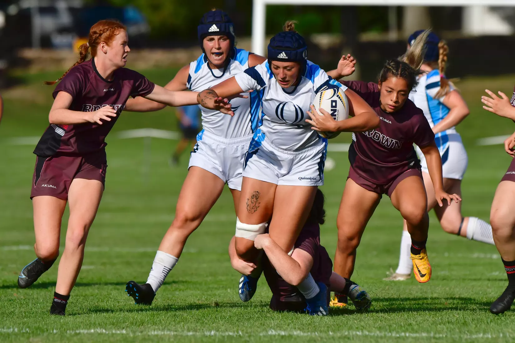 9/3/2022 © Mike Orazzi
Brown University Ruby vs Quinnipiac in Hamden, Conn. on Saturday, September 3, 2022. Mike Orazzi for Clarus Studios.