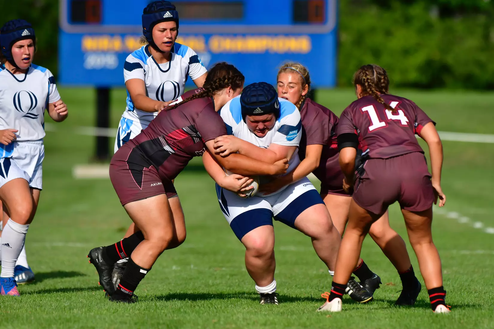9/3/2022 © Mike Orazzi
Brown University Ruby vs Quinnipiac in Hamden, Conn. on Saturday, September 3, 2022. Mike Orazzi for Clarus Studios.