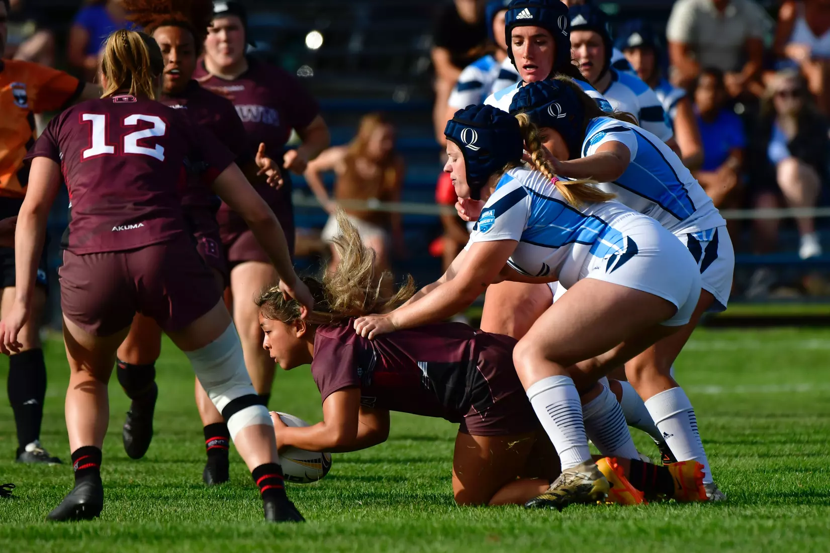 9/3/2022 © Mike Orazzi
Brown University Ruby vs Quinnipiac in Hamden, Conn. on Saturday, September 3, 2022. Mike Orazzi for Clarus Studios.