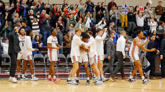 celebration