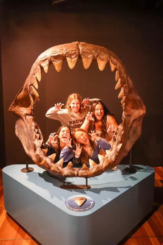 WWP Australia Trip Day 8