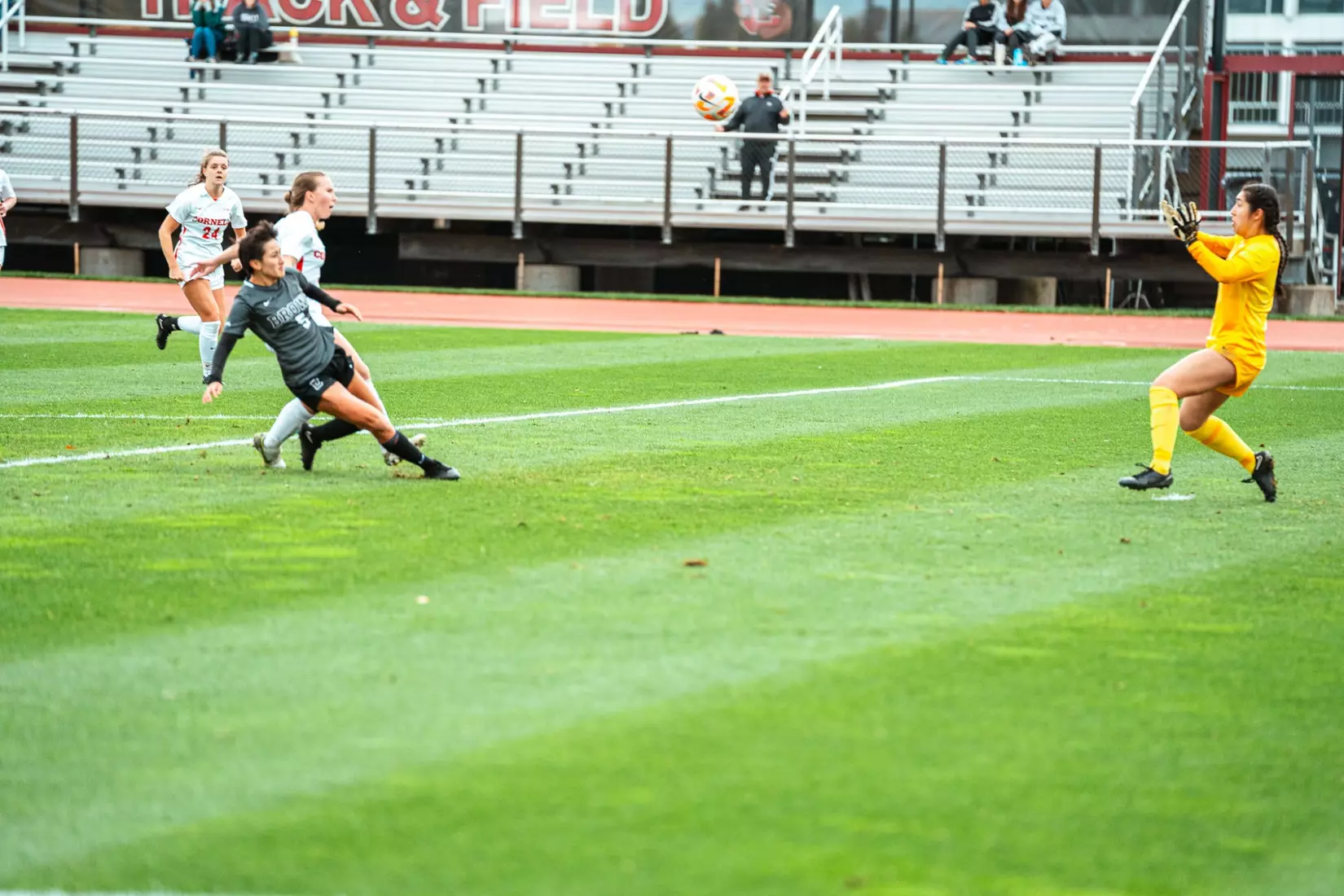 Audrey Lam on Saturday, October 21 at Cornell