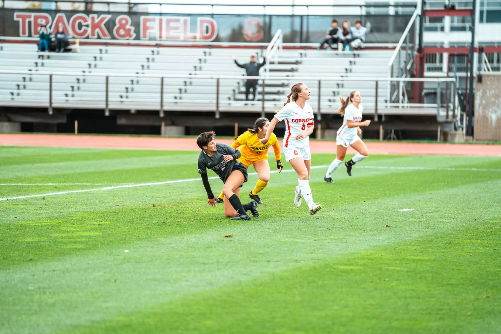 Audrey Lam on Saturday, October 21 at Cornell