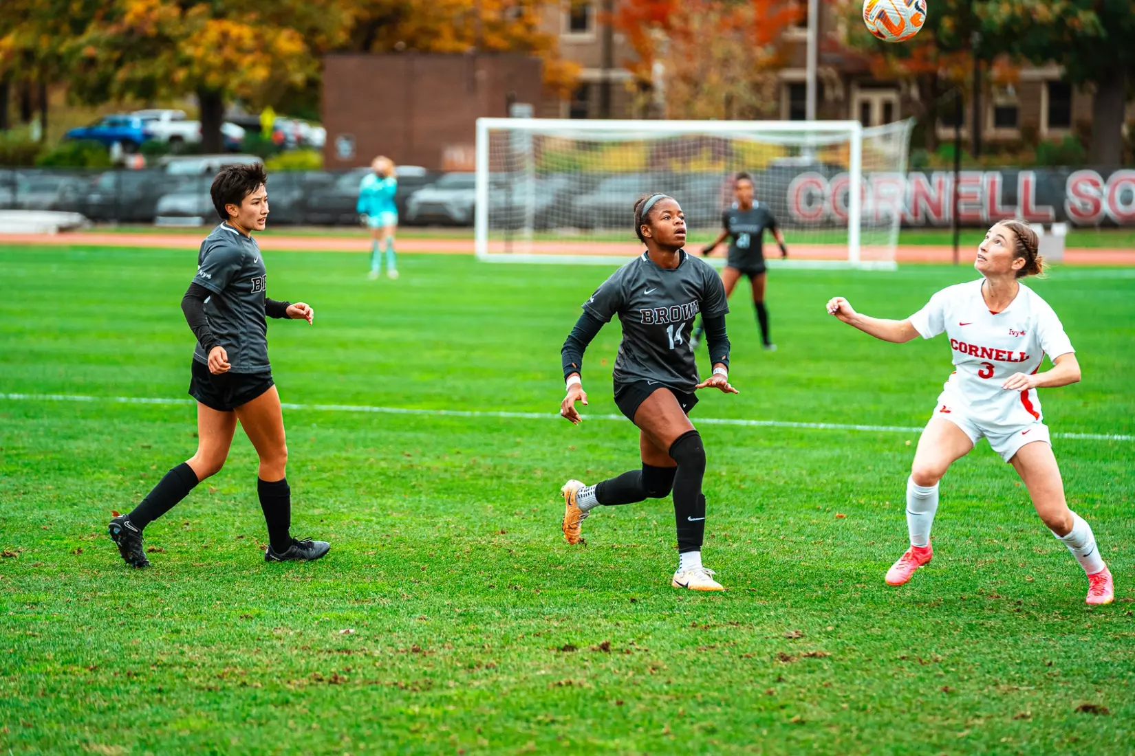 Layla Shell on Saturday, October 21 at Cornell