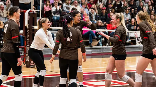 Volleyball team celebration