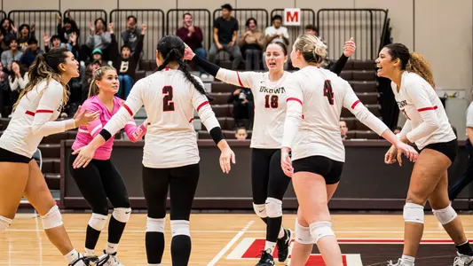 Volleyball Celebration