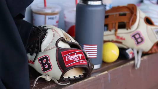 Brown-Baseball-Gloves
