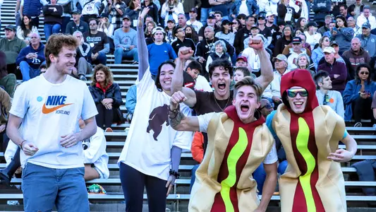 Crowd-fans-hotdogs