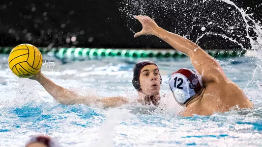 Men's Water Polo