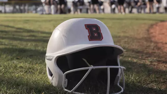 Softball Helmet