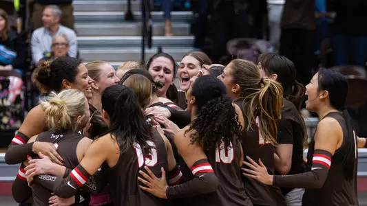 Volleyball Celebration