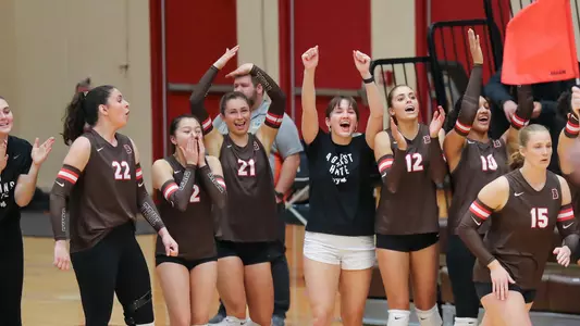 Volleyball Bench