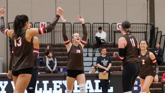 Volleyball Celebration