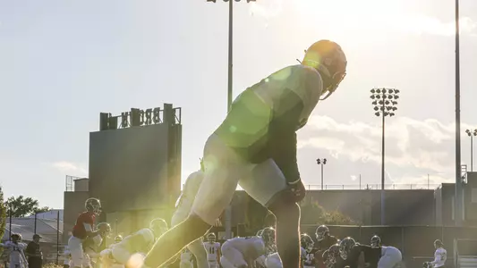 sunny silhouette-football