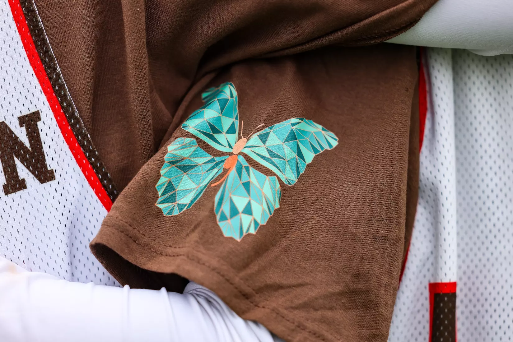 WLAX VS Princeton, April 13