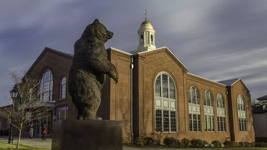 Indomitable Statue-Nelson