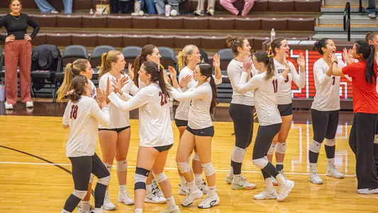 Volleyball Celebration