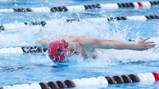 Men's Swimming Butterfly