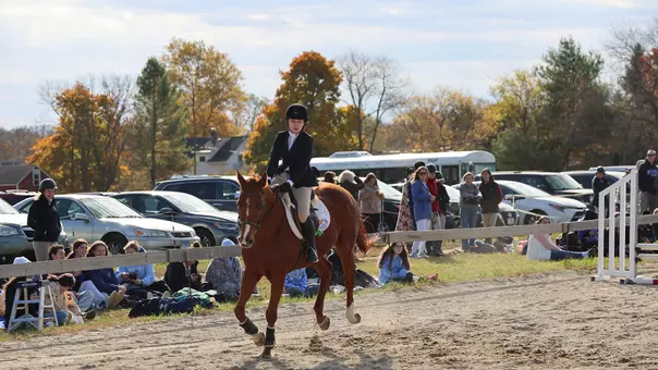 Equestrian Recap