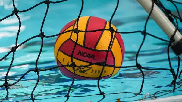 Water polo ball and net