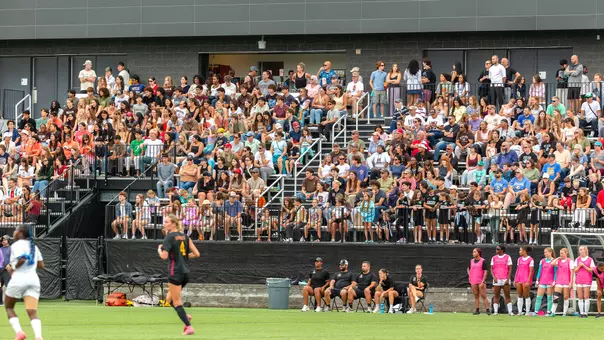 WSOC Northeastern Preview