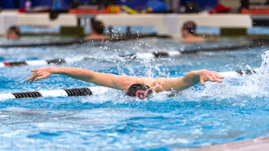 2.25.2026 MSWIM Preview Image