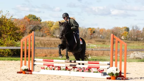 Equestrian Recap 3/14