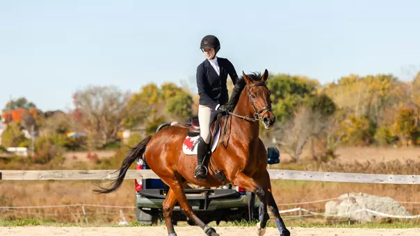 Equestrian 2/28 Recap