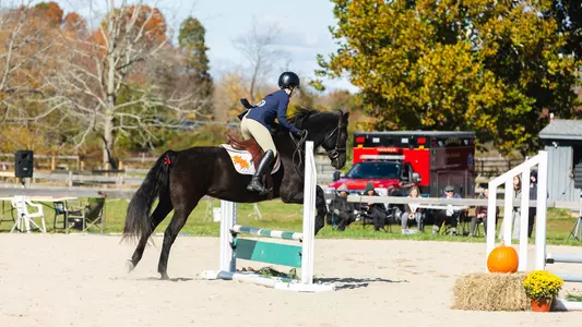 Equestrian jumper