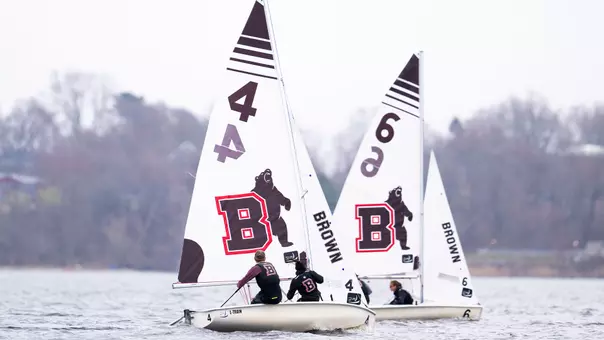 Brown sailboats on the water