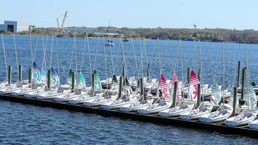Brown sailboats