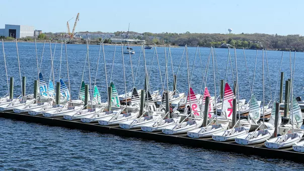 Brown sailboats