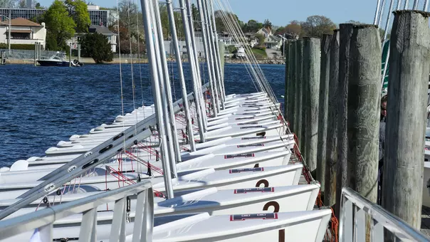 Brown sail boats
