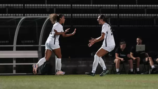 Goal Celebration
