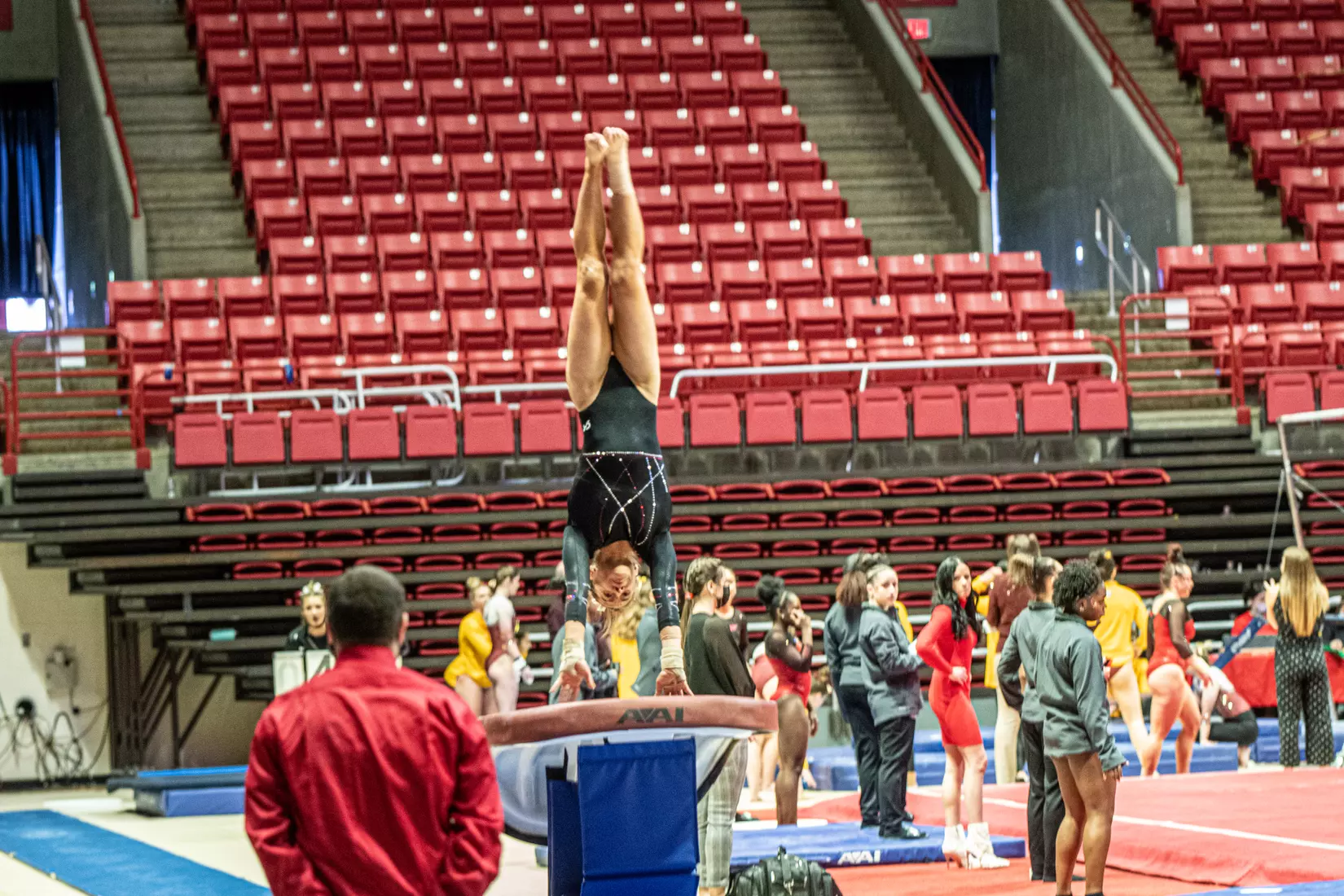 Gymnastics vs. CMU and Illinois State