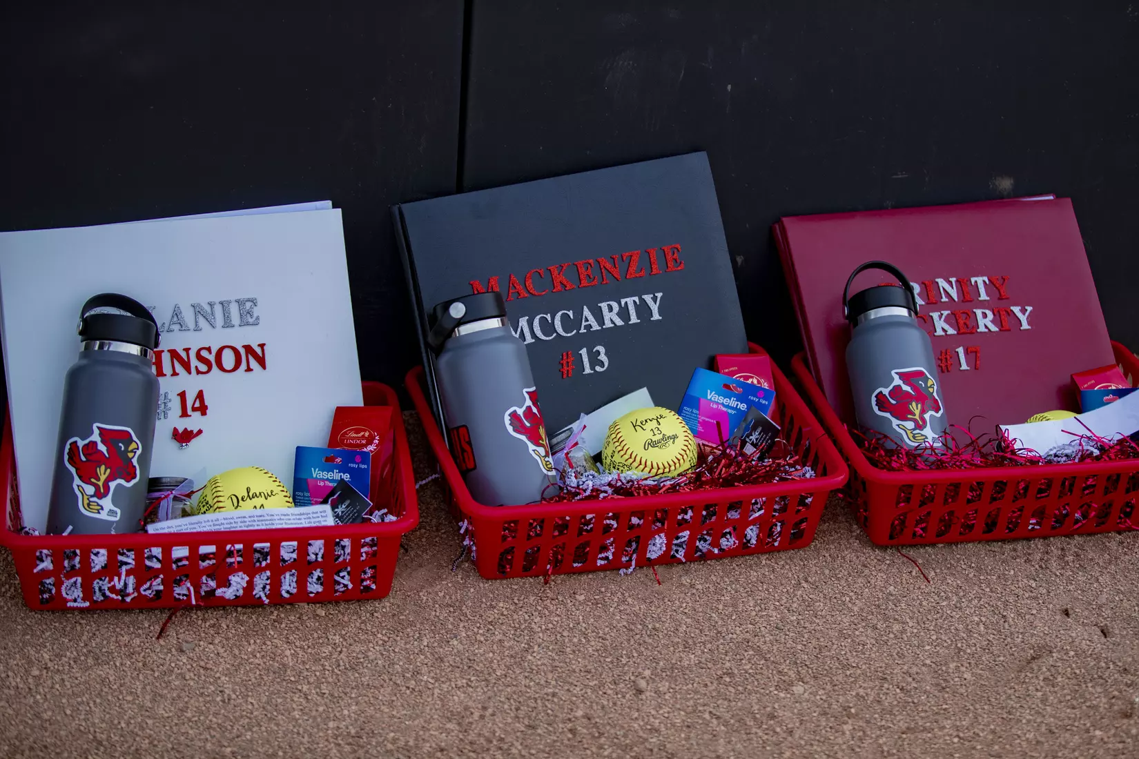 Softball vs. Bowling Green Doubleheader Senior Day