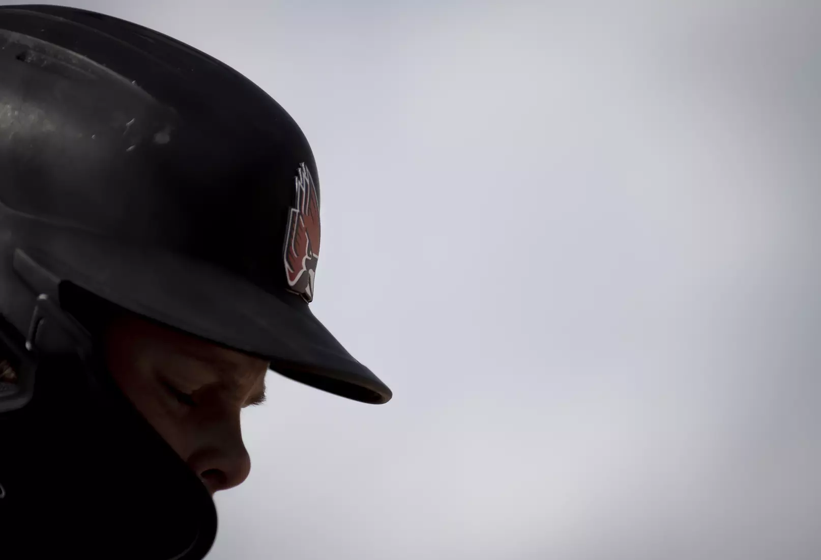 Softball vs. Kent State.