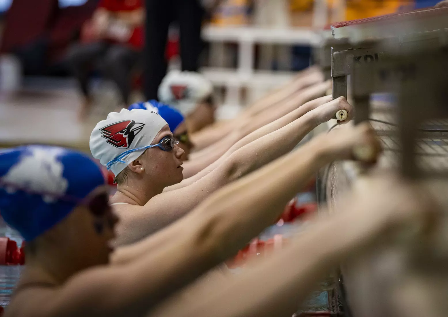 Women's swimming and diving vs Buffalo, Senior Day.