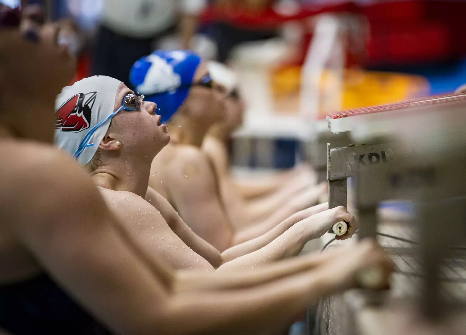 Women's swimming and diving vs Buffalo, Senior Day.