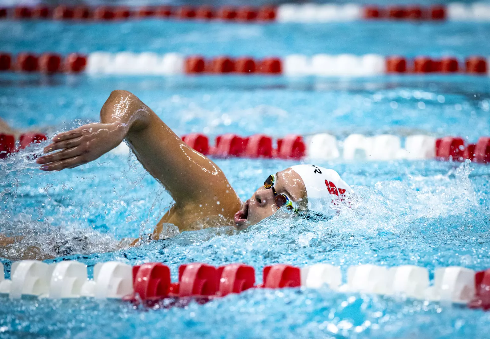 Women's swimming and diving vs Buffalo, Senior Day.